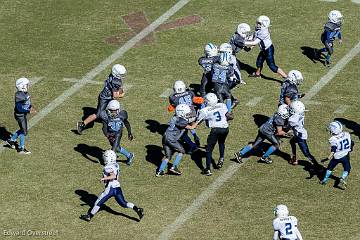 D6-Tackle  (445 of 804)